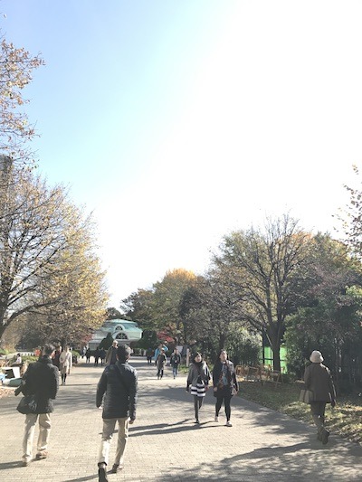 20161126_025132875_iOS.jpg